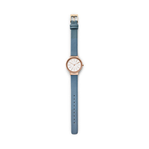 Skagen - Ancher Leather Watch