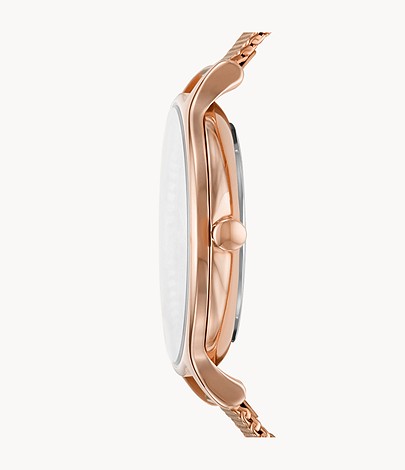 Skagen Watch Anita - SKW2977