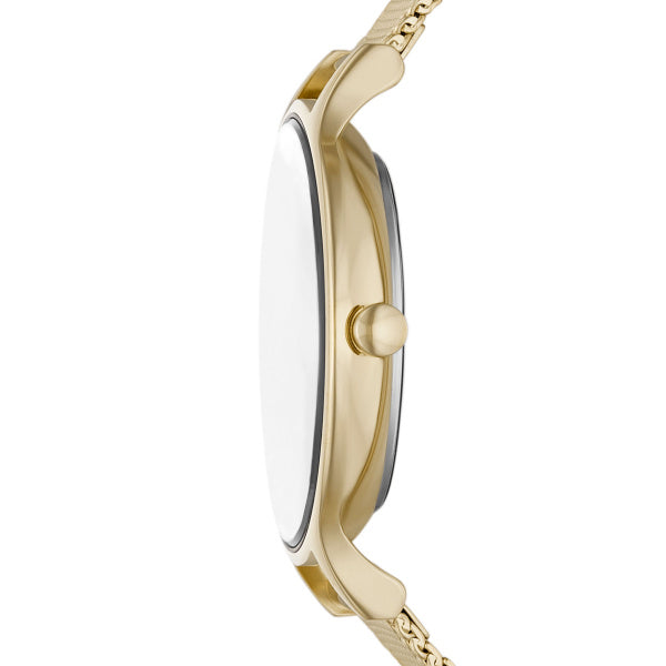 Skagen Anita - Gold Tone - SKW3058