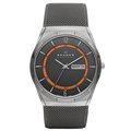 Skagen - Titanium Day/Date SKW6007