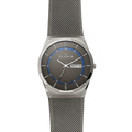 Skagen - Titanium, Day/Date SKW6078