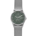 Skagen - Gray Dial SKW6383
