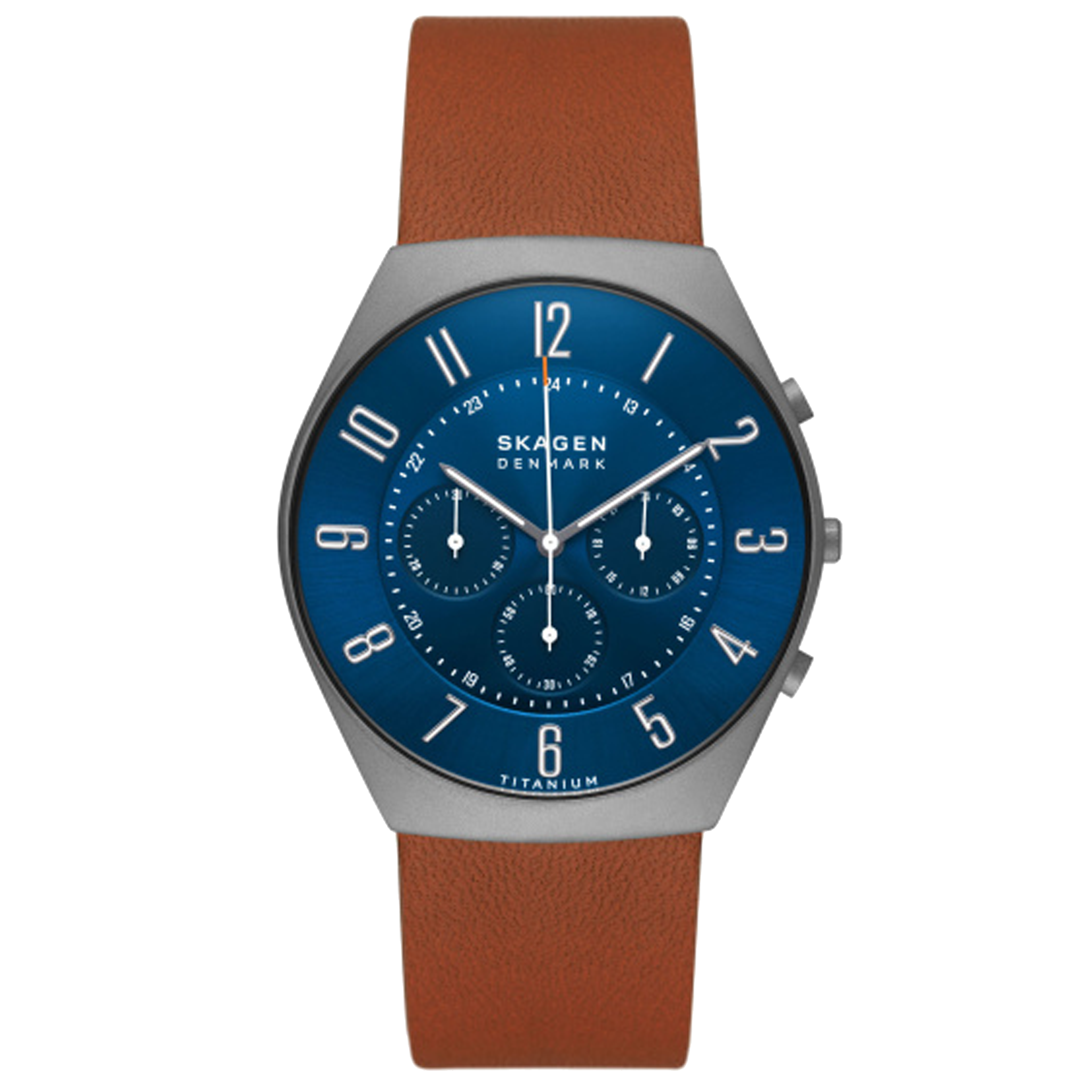 Skagen sales titanium watch