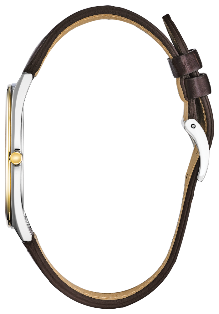 Citizen Eco-Drive - Stiletto Two Tone AR3074-03A