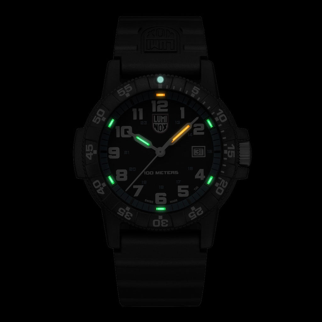 Luminox Navy Seal Watch - Giant Sea Turtle 0320 Series 0324