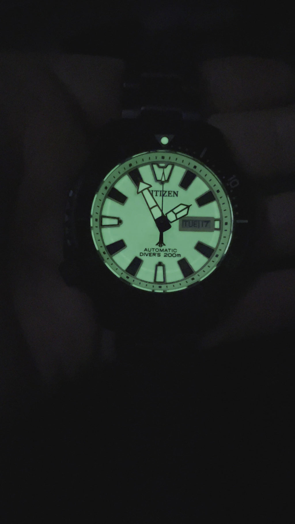 Citizen Automatic - Promaster FUGU - Black with Lume Dial